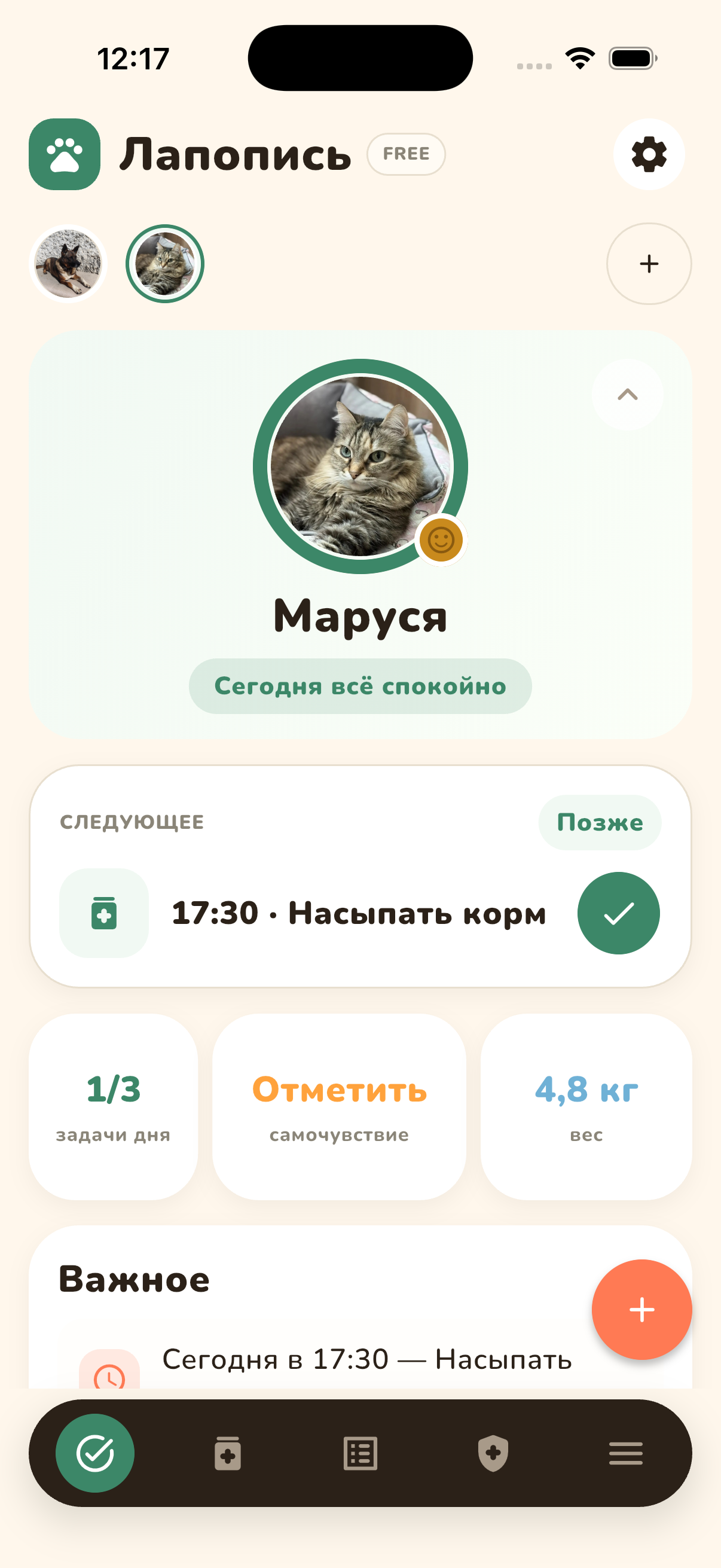 Главный экран Лапописи с выбранным профилем Маруси
