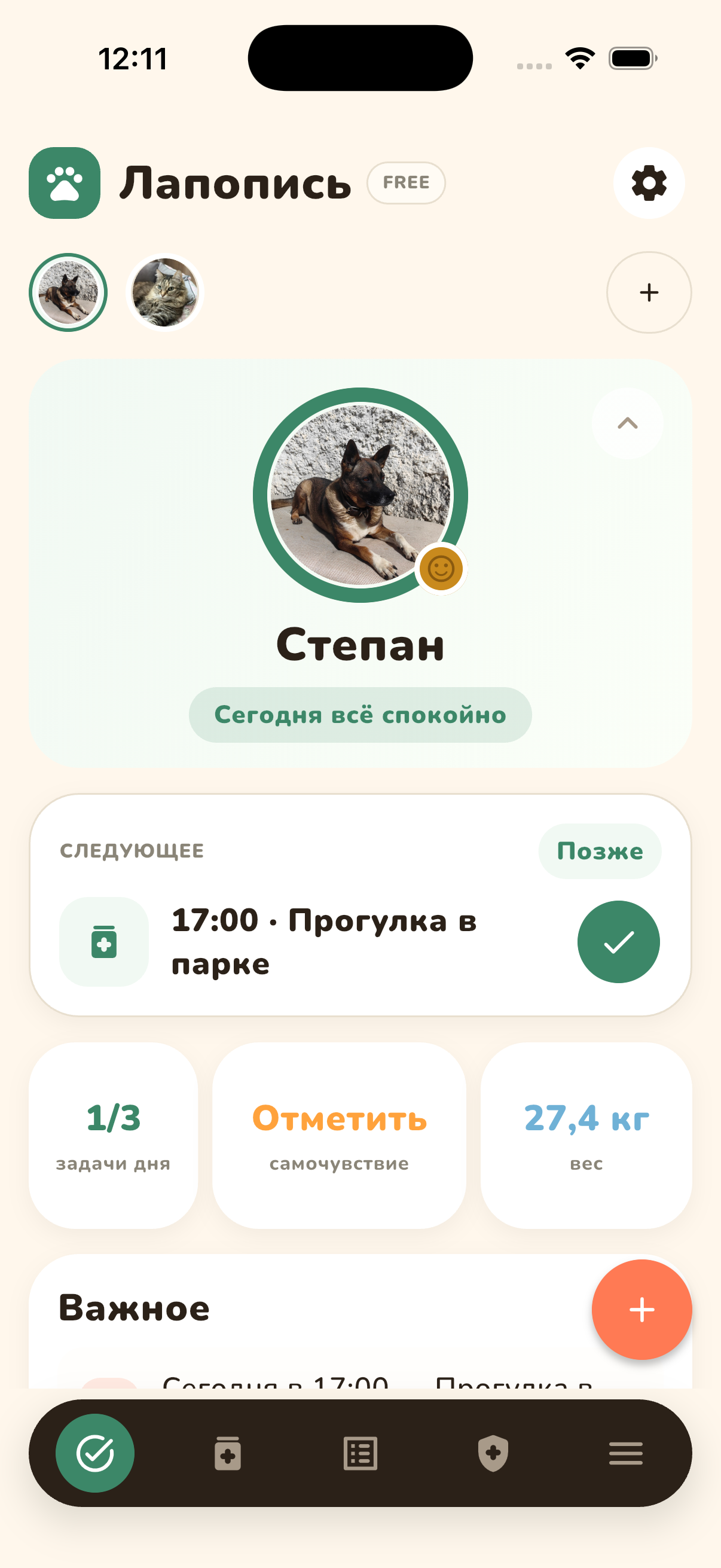 Главный экран Лапописи с профилем Степана и ближайшей прогулкой
